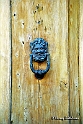 Sienna door knocker 40-8